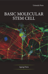 Image of Basic Molecular Stem Cell